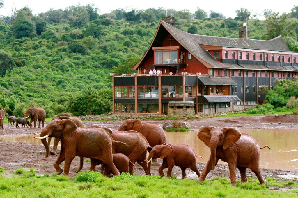 Jadestone-The-Ark-Lodge Jadestone-The-Ark-Lodge